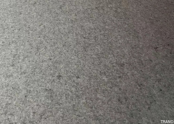 Staubfreier bakterieller AntiPolyester-akustische Platte des Grad-E0